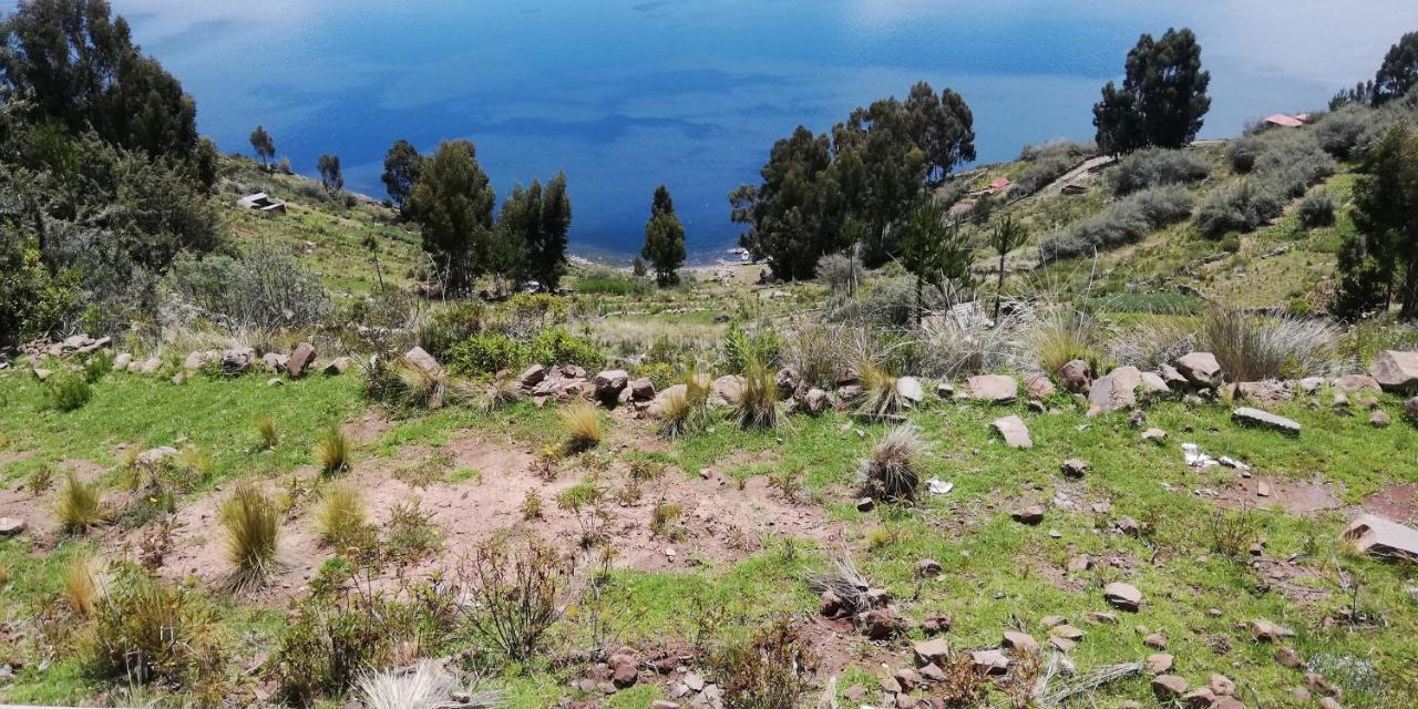Taquile Hospedaje Mario Уильянопампа Экстерьер фото